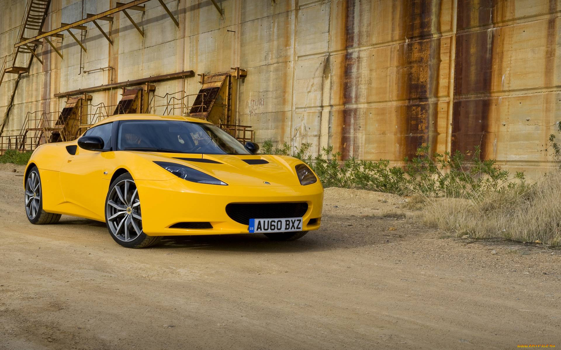 , lotus